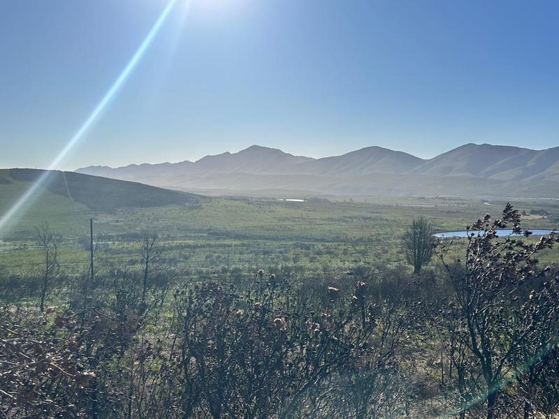 0 Bedroom Property for Sale in Kareedouw Eastern Cape